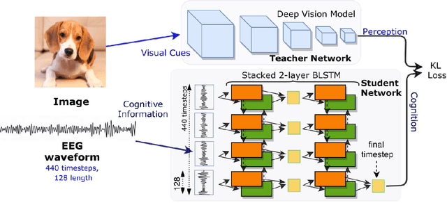 Figure 1 for Cogni-Net: Cognitive Feature Learning through Deep Visual Perception