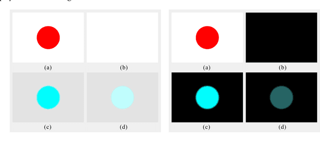 Figure 3 for A Computational Model of Afterimages based on Simultaneous and Successive Contrasts