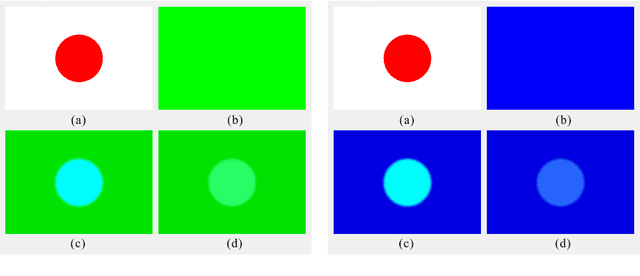 Figure 4 for A Computational Model of Afterimages based on Simultaneous and Successive Contrasts