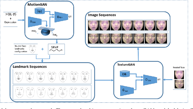 Figure 3 for Dynamic Facial Expression Generation on Hilbert Hypersphere with Conditional Wasserstein Generative Adversarial Nets