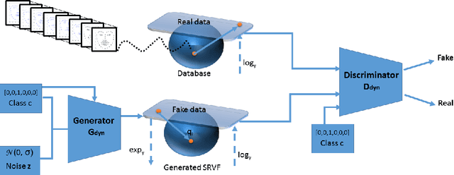 Figure 4 for Dynamic Facial Expression Generation on Hilbert Hypersphere with Conditional Wasserstein Generative Adversarial Nets