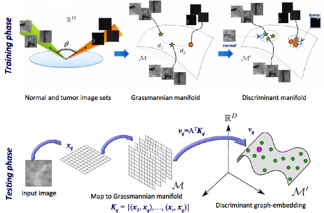 Figure 1 for Metastatic liver tumour segmentation from discriminant Grassmannian manifolds
