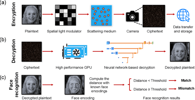 Figure 1 for Speckle-based optical cryptosystem and its application for human face recognition via deep learning