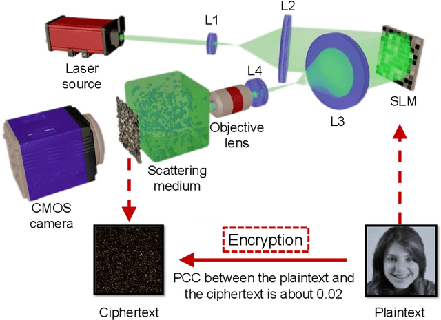 Figure 3 for Speckle-based optical cryptosystem and its application for human face recognition via deep learning