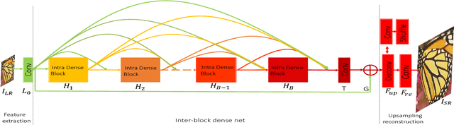 Figure 3 for Deep Bi-Dense Networks for Image Super-Resolution
