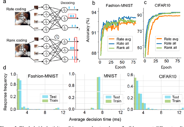 Figure 3 for Brain-inspired global-local hybrid learning towards human-like intelligence