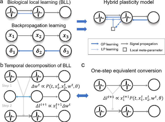 Figure 1 for Brain-inspired global-local hybrid learning towards human-like intelligence