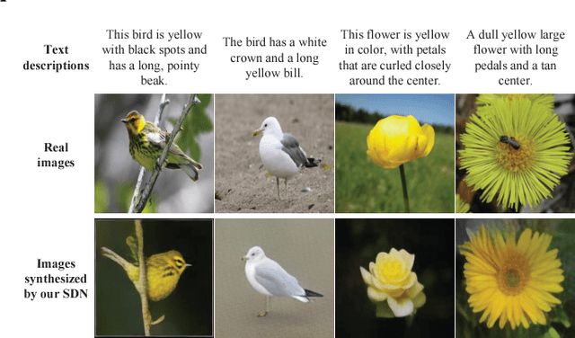 Figure 1 for Text-to-image Synthesis via Symmetrical Distillation Networks