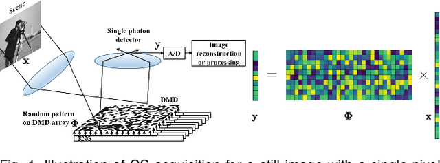 Figure 1 for TransCL: Transformer Makes Strong and Flexible Compressive Learning