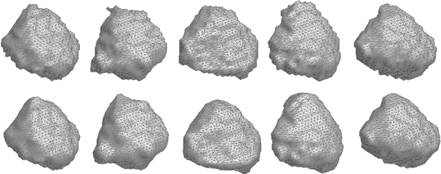 Figure 4 for Introduction to Brain and Medical Images