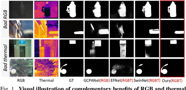 Figure 1 for Mirror Complementary Transformer Network for RGB-thermal Salient Object Detection