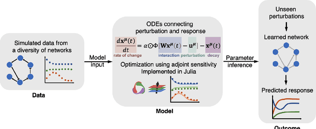 Figure 1 for Inference of cell dynamics on perturbation data using adjoint sensitivity