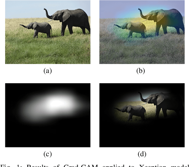 Figure 1 for A Sneak Attack on Segmentation of Medical Images Using Deep Neural Network Classifiers
