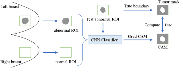 Figure 3 for A Sneak Attack on Segmentation of Medical Images Using Deep Neural Network Classifiers