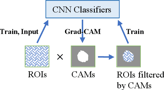 Figure 4 for A Sneak Attack on Segmentation of Medical Images Using Deep Neural Network Classifiers