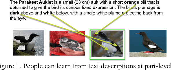 Figure 1 for Link the head to the "beak": Zero Shot Learning from Noisy Text Description at Part Precision