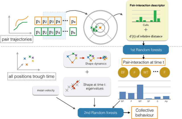 Figure 1 for Collective behavior recognition using compact descriptors