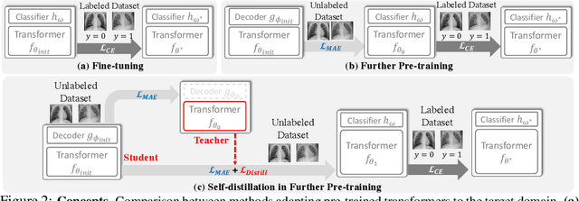 Figure 2 for Self-Distillation for Further Pre-training of Transformers