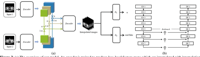 Figure 3 for HRINet: Alternative Supervision Network for High-resolution CT image Interpolation