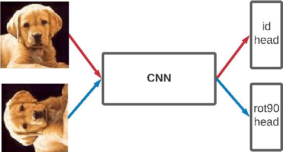 Figure 1 for More Is More -- Narrowing the Generalization Gap by Adding Classification Heads