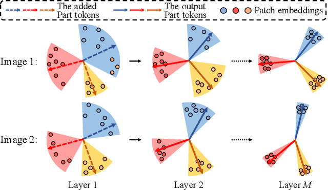 Figure 3 for AAformer: Auto-Aligned Transformer for Person Re-Identification