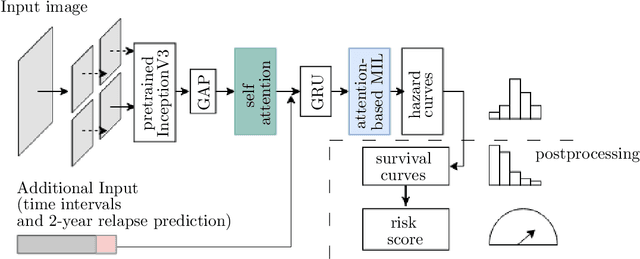 Figure 1 for Towards Explainable End-to-End Prostate Cancer Relapse Prediction from H&E Images Combining Self-Attention Multiple Instance Learning with a Recurrent Neural Network