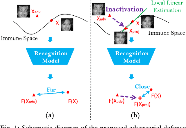 Figure 1 for Perturbation Inactivation Based Adversarial Defense for Face Recognition