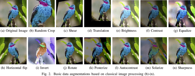 Figure 2 for A Study on the Impact of Data Augmentation for Training Convolutional Neural Networks in the Presence of Noisy Labels