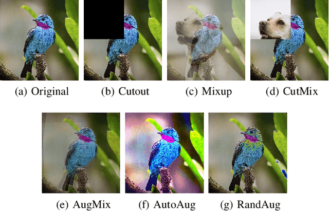 Figure 3 for A Study on the Impact of Data Augmentation for Training Convolutional Neural Networks in the Presence of Noisy Labels