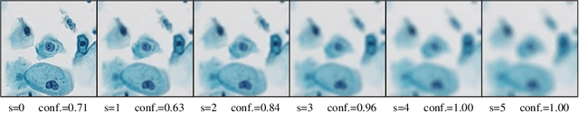 Figure 3 for Benchmarking the Robustness of Deep Neural Networks to Common Corruptions in Digital Pathology