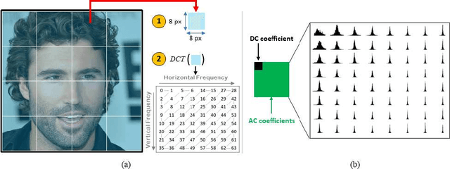 Figure 3 for Deepfake Style Transfer Mixture: a First Forensic Ballistics Study on Synthetic Images