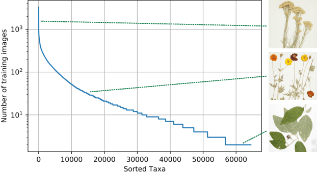 Figure 1 for The Herbarium 2021 Half-Earth Challenge Dataset