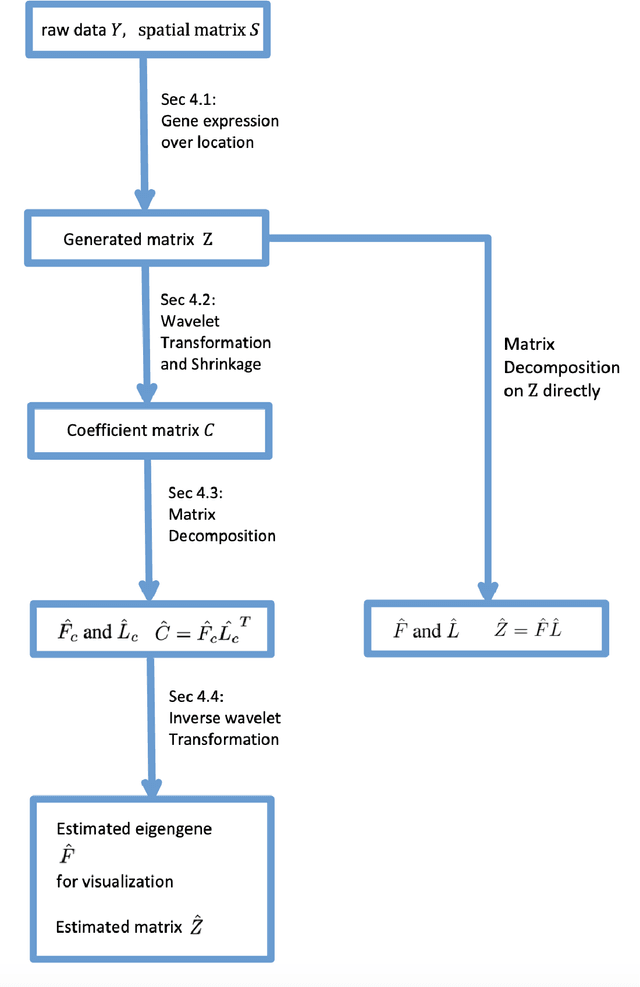 Figure 1 for Spatial Transcriptomics Dimensionality Reduction using Wavelet Bases