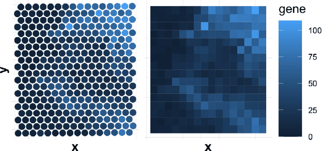 Figure 3 for Spatial Transcriptomics Dimensionality Reduction using Wavelet Bases