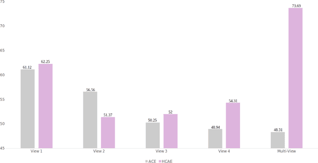 Figure 2 for Multi-View Brain HyperConnectome AutoEncoder For Brain State Classification