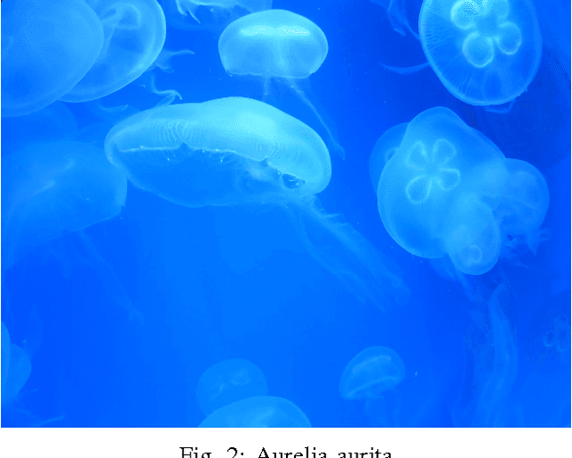 Figure 2 for Creativity in Machine Learning