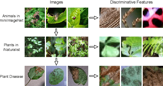 Figure 1 for Channel Importance Matters in Few-Shot Image Classification