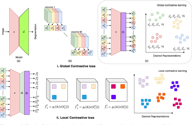 Figure 1 for Contrastive learning of global and local features for medical image segmentation with limited annotations