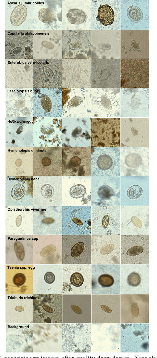 Figure 2 for ICIP 2022 Challenge on Parasitic Egg Detection and Classification in Microscopic Images: Dataset, Methods and Results