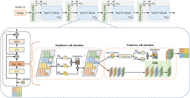 Figure 3 for SepViT: Separable Vision Transformer