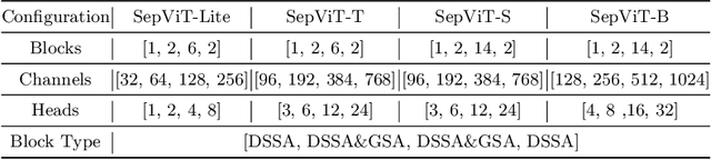 Figure 2 for SepViT: Separable Vision Transformer