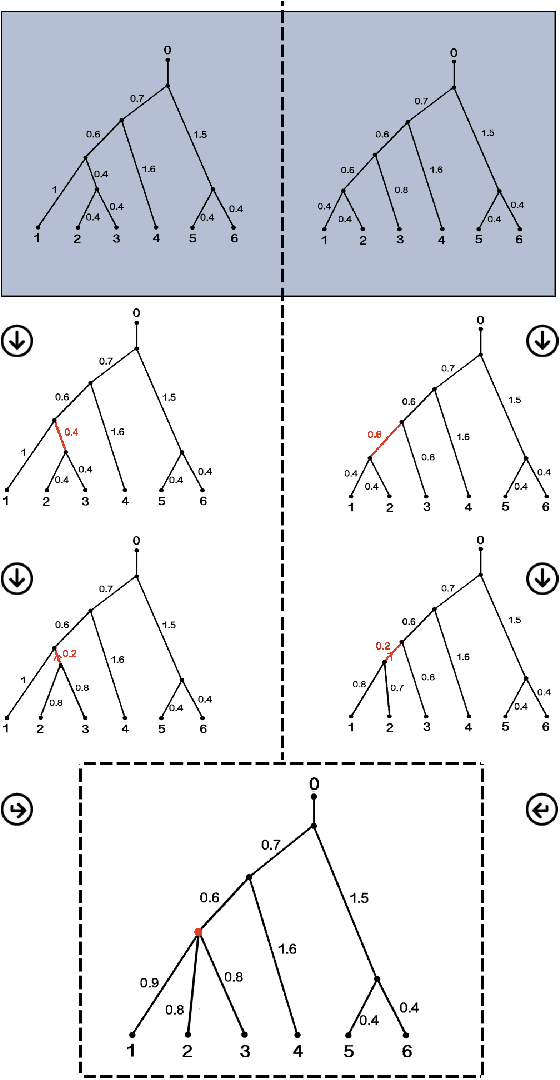 Figure 4 for Testing to distinguish measures on metric spaces