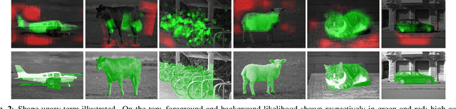 Figure 3 for Learning to segment on tiny datasets: a new shape model