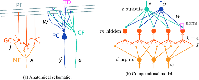 Figure 1 for Evaluating adversarial robustness in simulated cerebellum