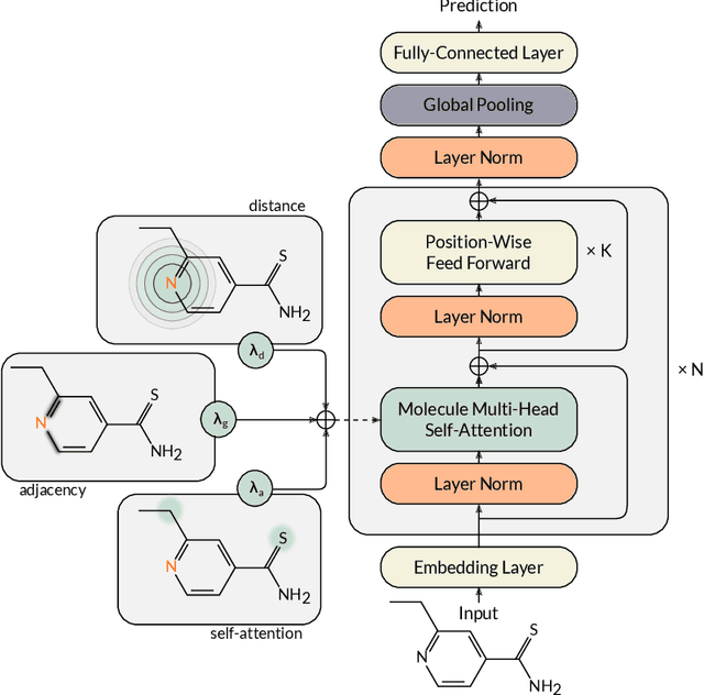 Figure 1 for Molecule Attention Transformer