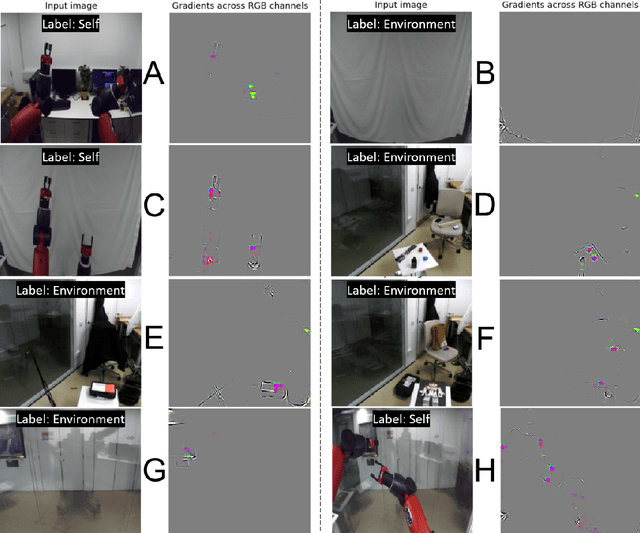 Figure 4 for Enabling the Sense of Self in a Dual-Arm Robot