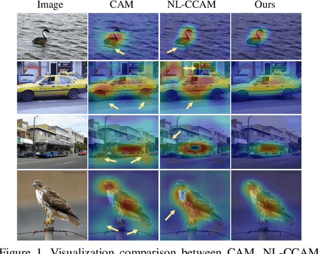 Figure 1 for Improving Weakly-supervised Object Localization via Causal Intervention