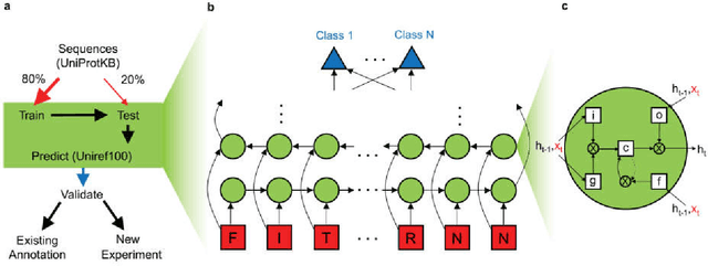 Figure 1 for Deep Recurrent Neural Network for Protein Function Prediction from Sequence