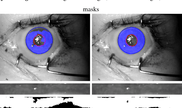 Figure 3 for Post-mortem Iris Recognition with Deep-Learning-based Image Segmentation