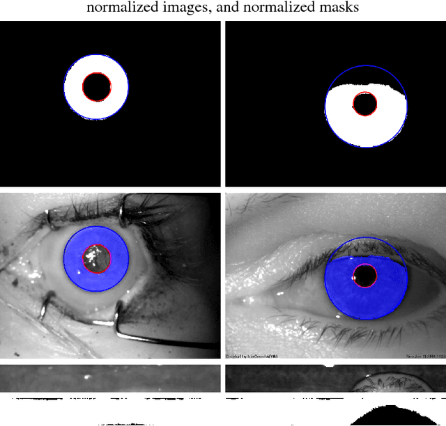 Figure 2 for Post-mortem Iris Recognition with Deep-Learning-based Image Segmentation